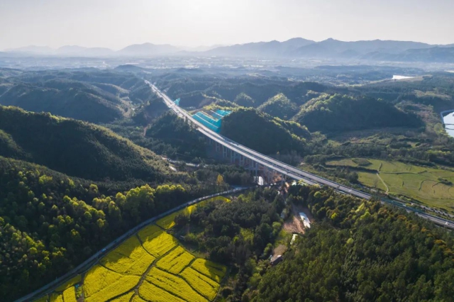 1745542975917916.jpg 02.jpg