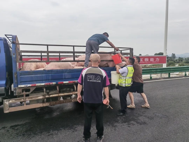 1751530803256862.jpg 03.jpg